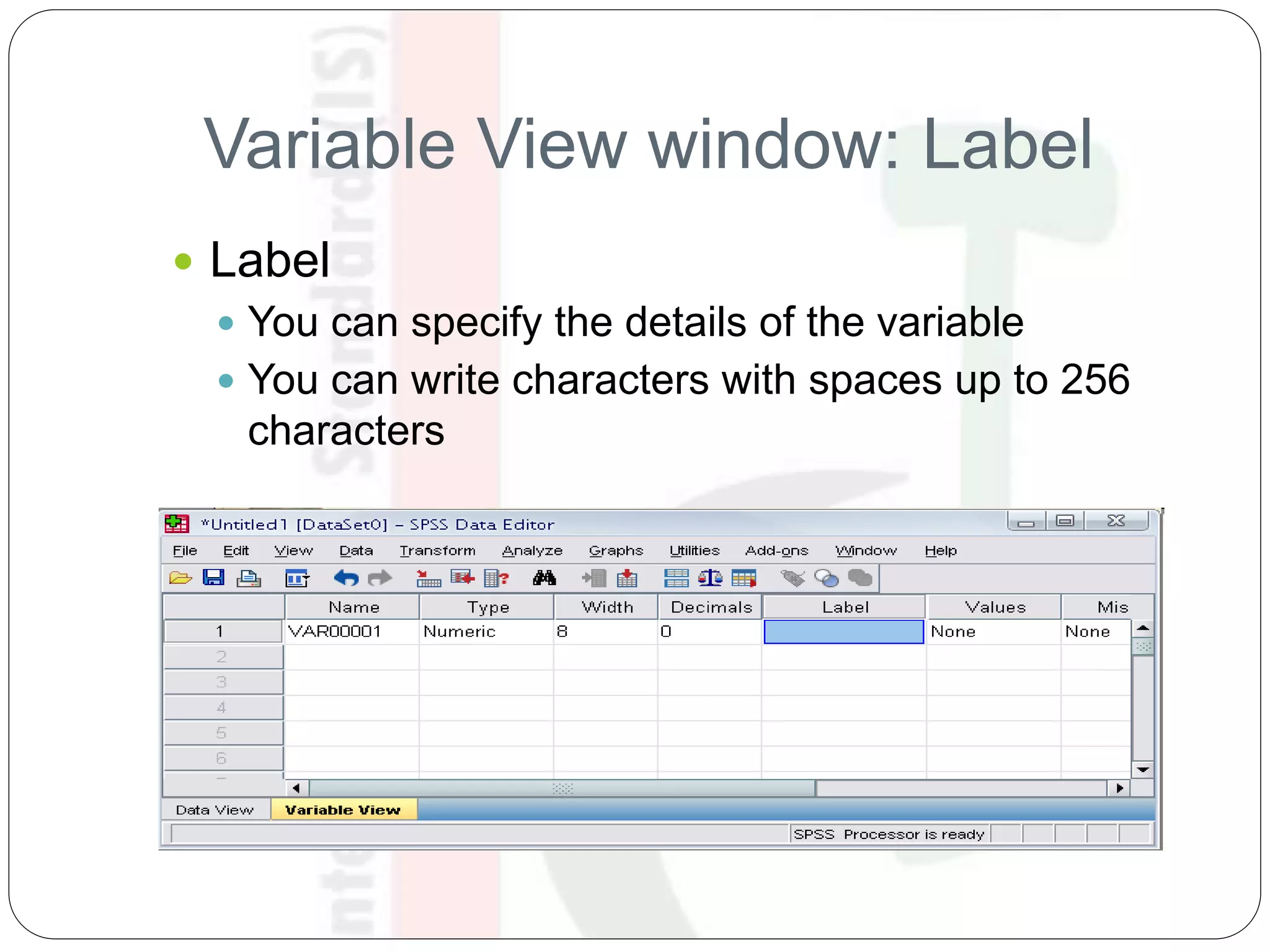 Variable View window: Label
 Label
 You can specify the details of the variable
 You can write characters with spaces up to 256
characters
 
