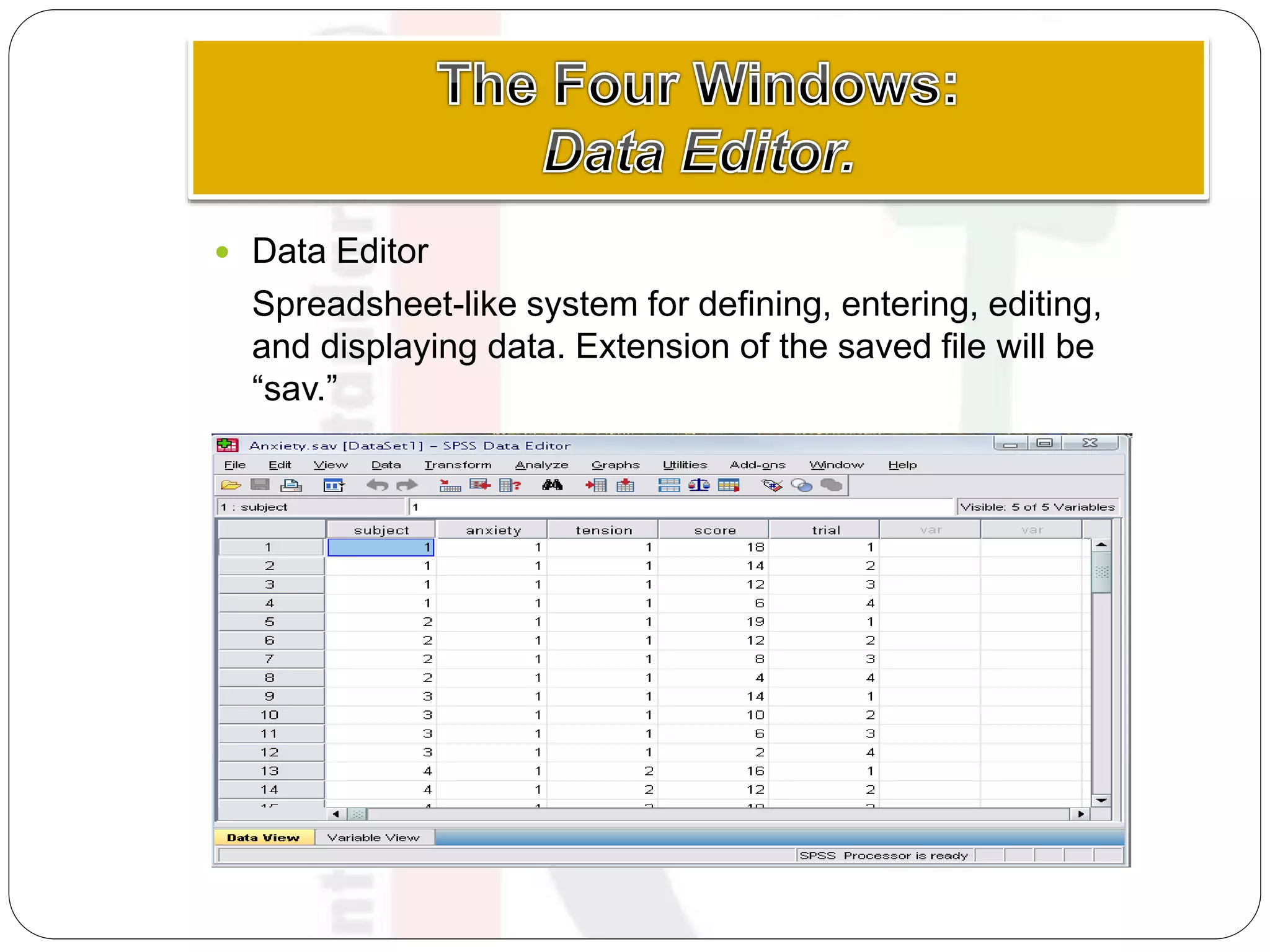  Data Editor
Spreadsheet-like system for defining, entering, editing,
and displaying data. Extension of the saved file will be
“sav.”
 