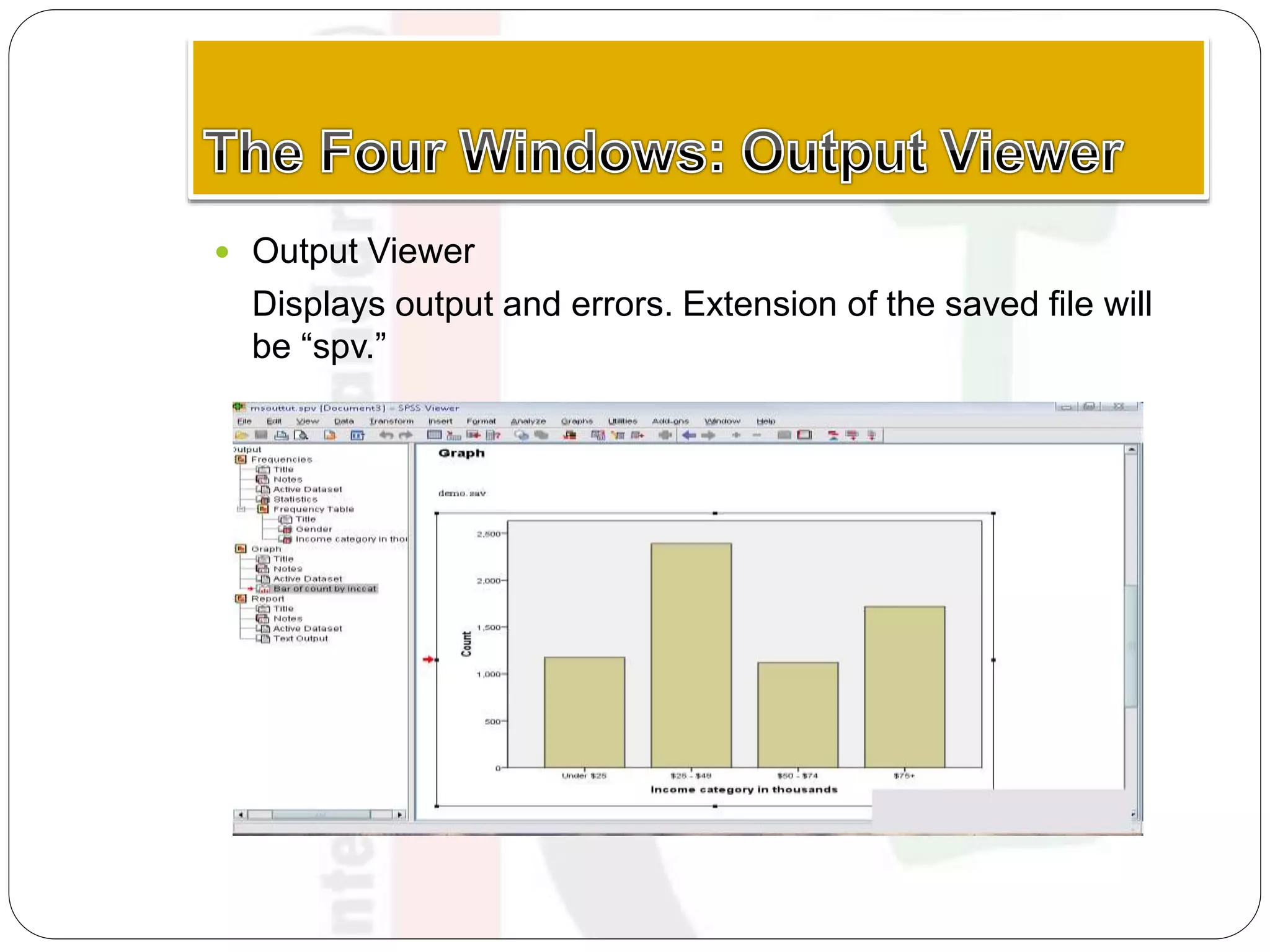  Output Viewer
Displays output and errors. Extension of the saved file will
be “spv.”
 
