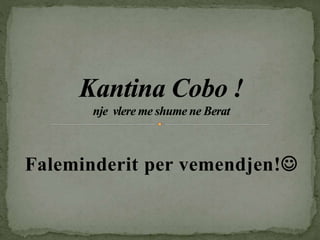Faleminderit per vemendjen!
 