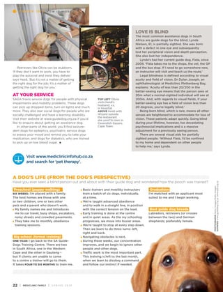 ................................................................................................................................................................................................................................................................................................................................................ ................................................................................................................................................................................................................................ 
Check i n | how it w orks 
A dog’s life (from the dog’s perspective) 
Have you ever seen a blind person out and about with their guide dog and wondered how the pooch was trained? 
................................................................................................................................................................................................................................................................................................................................................................................................................................................................................................................................................... ................................................................................................................................................................................................................................................................................................................................................................................................................................................................................................................................................ 
22 i Mediclinic Family i s p r i n g 2 0 1 4 
photographs Getty Images/Gallo Images 
sources www.guidedog.org.za, www.pat.org.za 
Retrievers like Olivia can be stubborn. 
‘If they don’t want to work, you have to 
play the autocrat and insist they deliver,’ 
says Heidi. ‘But it’s not a matter of getting 
the right dog for the job; it’s a matter of 
getting the right dog for you.’ 
At your service 
SAGA trains service dogs for people with physical 
impairments and mobility problems. These dogs 
can pick up dropped items, turn on lights and much 
more. They also rear social dogs for people who are 
socially challenged and have a learning disability. 
Visit their website at www.guidedog.org.za if you’d 
like to enquire about getting an assistance dog. 
In other parts of the world, you’ll find seizure-alert 
dogs for epileptics, psychiatric service dogs 
to assess your mood and remind you to take your 
medication, and dogs for diabetics, who are trained 
to pick up on low blood sugar. 
Love is blind 
The most common assistance dogs in South 
Africa are guide dogs for the blind. Lynda 
Nielsen, 61, is partially sighted. She was born 
with a defect in one eye and subsequently 
lost her peripheral vision and depth perception. 
She also lost her independence. 
Lynda’s had her current guide dog, Fiela, since 
2009. ‘Fiela takes me to the shops, the vet, the GP 
and the bus stop. If I need to go somewhere new, 
an instructor will visit and teach us the route.’ 
Legal blindness is defined according to visual 
acuity and field of vision. Dr Dylan Joseph, an 
ophthalmologist at Mediclinic Plettenberg Bay, 
explains: ‘Acuity of less than 20/200 in the 
better-seeing eye means that the person sees at 
20m what a normal-sighted individual will see at 
200m. And, with regards to visual fields, if your 
better-seeing eye has a field of vision less than 
20 degrees, you’re legally blind.’ 
Being born blind, which is rare, means all other 
senses are heightened to accommodate for loss of 
vision. These patients adapt quickly. Going blind 
during your lifetime, however, has devastating 
psychosocial implications and is a massive 
adjustment for a previously seeing person. 
There are several visual aids for partially 
sighted people. ‘Without Fiela, I’d be confined 
to my home and dependent on other people 
to help me,’ says Lynda. 
TOP left Olivia 
visits Heidi’s 
husband, xx, 
in hospital. 
above Heidi with 
Wizard outside 
the restaurant 
she used to own in 
Cavendish Square, 
Cape Town. 
Visit www.mediclinicinfohub.co.za 
and search for ‘pet therapy’. 
Preschool (puppy walking) 
Six weeks: I’m placed with a family. 
The best homes are those with one 
or two children, one or two other 
pets and a parent who doesn’t work. 
My family names me and introduces 
me to car travel, busy shops, escalators, 
noisy streets and crowded pavements. 
They take me to monthly obedience 
training sessions. 
Big school (formal training) 
One year: I go back to the SA Guide- 
Dogs Training Centre. There are two 
in South Africa, one in the Western 
Cape and the other in Gauteng – 
but if clients are unable to come 
to a centre a trainer will go to them. 
It takes four to six months to train me. 
Basic trainers and mobility instructors 
train a batch of six dogs, individually, 
at a time. 
We’re taught advanced obedience 
and to walk in a straight line, in position 
with the correct tension on the lead. 
Early training is done at the centre 
and in quiet areas. As the my schooling 
progresses, we move into busier areas. 
We’re taught to stop at every step down. 
Then we learn to do three turns: left, 
right and back. 
Navigating obstacles is next. 
During these weeks, our concentration 
improves, and we begin to ignore other 
people and other dogs. 
Traffic work is the most important part. 
This training is left to the last month, 
when we learn to disobey a command 
and follow our instinct if needed. 
Graduation 
I’m matched with an applicant most 
suited to me and I begin working. 
Best guide dog breeds 
Labradors, retrievers (or crosses 
between the two) and German 
shepherds; preferably female. 
