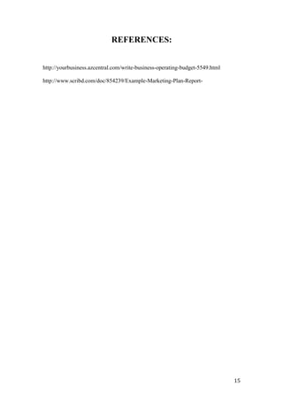 REFERENCES:
http://yourbusiness.azcentral.com/write-business-operating-budget-5549.html
http://www.scribd.com/doc/854239/Example-Marketing-Plan-Report-
15
 