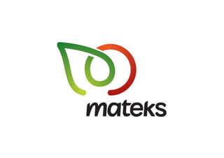 Mateks A.Ş.- Renkli Logo