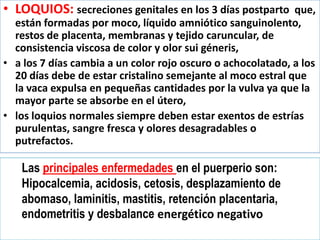 Fases de la gestación 2013 | PPTX