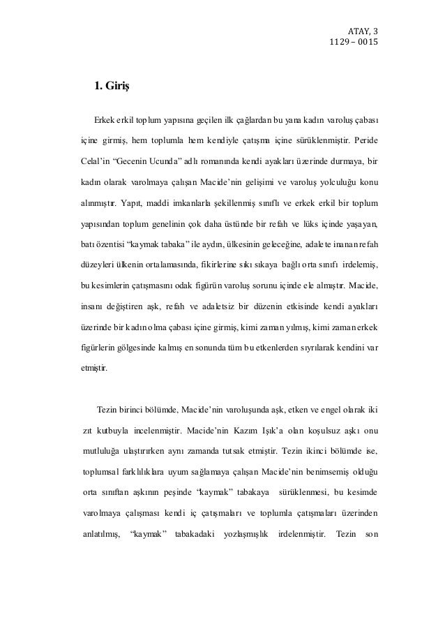 essay in literature