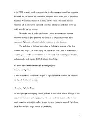 15
in the CBBE pyramid, brand awareness is the key for customers to recall and recognize
the brand. We can measure the consumer’s awareness based on the level of purchasing
frequency. We can also measure it on brand activity which is the extent that our
customers talk to other about our brand, seek brand information and share stories via
social networks and our website.
Next value stage is market performance, where we can measure how our
customers respond to price premiums and elasticity’s. Once our customers have
experienced Xplosion we forecast inelastic responses to price increases.
The final stage in the brand value chain is the financial outcome of the three
previous value stages. The reason being, the shareholder value gives us a measurable,
concrete figure in order to assess the value of our brand, such as: stock price, P/E ratio,
market growth, profit margin, ROA, & Market Book Value.
4.4 Brand’s architecture, hierarchy, & brand portfolio
Brand name: Xplosion
In order to maximize brand equity we plan to expand out brand portfolio and maximize
out channel distribution strategy.
Hierarchy: Xplosive Brand
The basic principle in designing a brand portfolio is to maximize market coverage so that
no potential customers are being ignored, but minimize brand overlap so that brands
aren’t competing amongst themselves to gain the same customers approval. Each brand
should have a distinct target market and positioning.
 