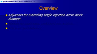 @EMARIANOMD #CSAHSWinter20
Overview
 Adjuvants for extending single-injection nerve block
duration
 Update on continuous...