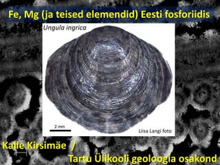 Fe, Mg (ja teised elemendid) Eesti fosforiidis
Ungula ingrica

Liisa Langi foto

Kalle Kirsimäe /
Tartu Ülikooli geoloogia osakond

 