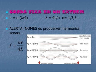 CORDA FIXA EN UN EXTREM
 L = n (λ/4) λ = 4L/n n= 1,3,5
 ALERTA: NOMÉS es produeixen harmònics
senars.
L
nv
f
4
 