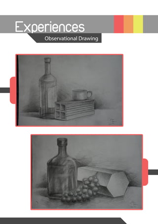 Experiences
Observational Drawing
 