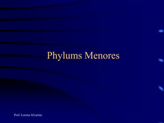 Prof. Lorena Alvarino
Phylums Menores
 