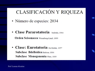 Prof. Lorena Alvarino
 