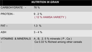 CARBOHYDRATE - 76 %
PROTEIN - 9 . 2 %
( 12 % HAMSA VARIETY )
FAT – 1.3 %
ASH 3 - 4 %
VITAMINS & MINERALS
-
A , B, 2. 5 % minerals ( P , Ca )
Ca 0.33 % Richest among other cereals
NUTRITION IN GRAIN
 