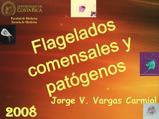 2008
Jorge V. Vargas Carmiol
Facultad de Medicina
Escuela de Medicina
 
