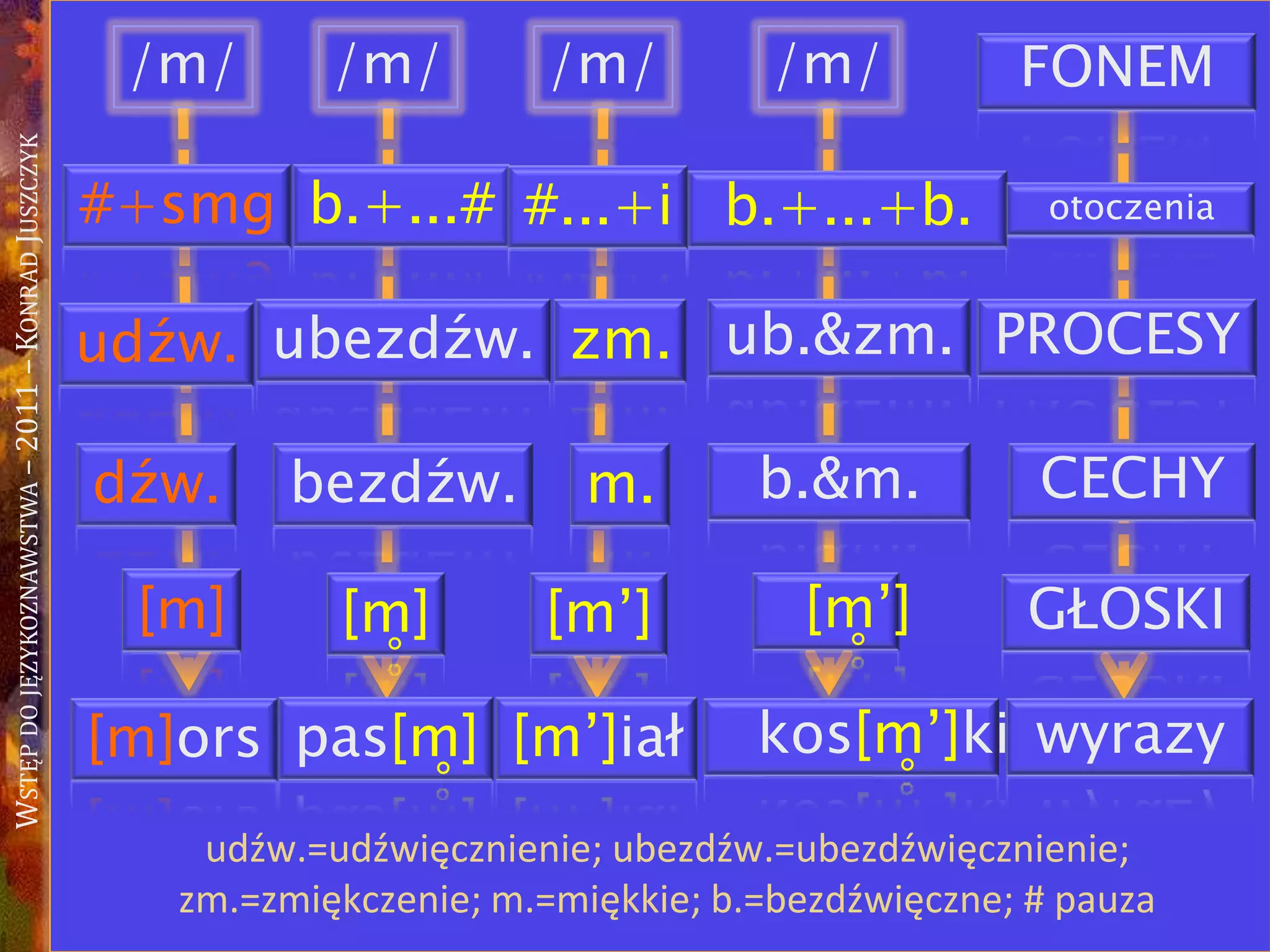 WSTĘPDOJĘZYKOZNAWSTWA–2011–KONRADJUSZCZYK
/m/
[m]ors pas[m̥] kos[m̥’]ki[m’]iał wyrazy
[m] [m̥] [m̥’][m’] GŁOSKI
#+smg b.+...# #...+i b.+...+b. otoczenia
dźw. bezdźw. b.&m.m. CECHY
/m/ /m/ /m/
ubezdźw. ub.&zm.zm. PROCESY
FONEM
udźw.
udźw.=udźwięcznienie; ubezdźw.=ubezdźwięcznienie;
zm.=zmiękczenie; m.=miękkie; b.=bezdźwięczne; # pauza
 