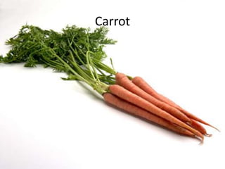 Carrot
 