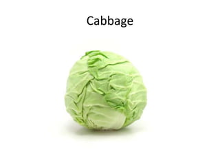 Cabbage
 
