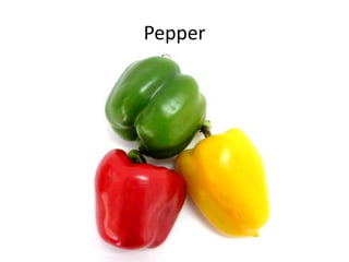 Pepper
 