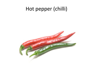 Hot pepper (chilli)
 