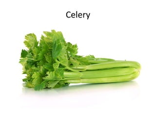 Celery
 
