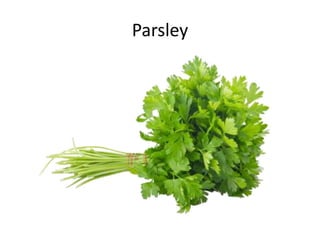 Parsley
 