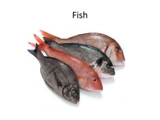 Fish
 