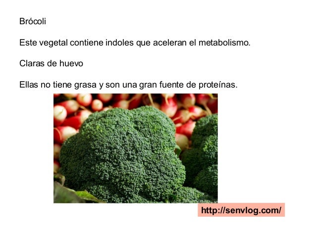 Cinco cuestiones sobre ralentizar metabolismo