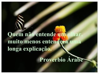 Quem não entende um olhar, muito menos entenderá uma longa explicação. Proverbio Árabe 