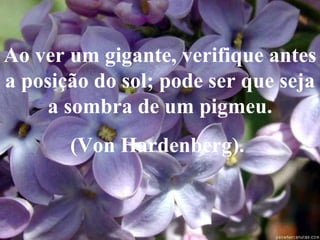 Ao ver um gigante, verifique antes a posição do sol; pode ser que seja  a sombra de um pigmeu.  (Von Hardenberg).   