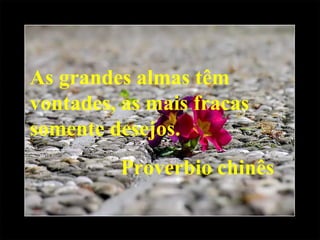 As grandes almas têm vontades, as mais fracas somente desejos. Proverbio chinês 