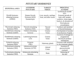 Endocrine System and its glands in brief | PDF