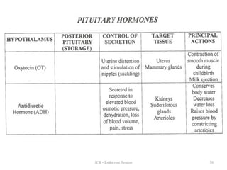 Endocrine System and its glands in brief | PDF