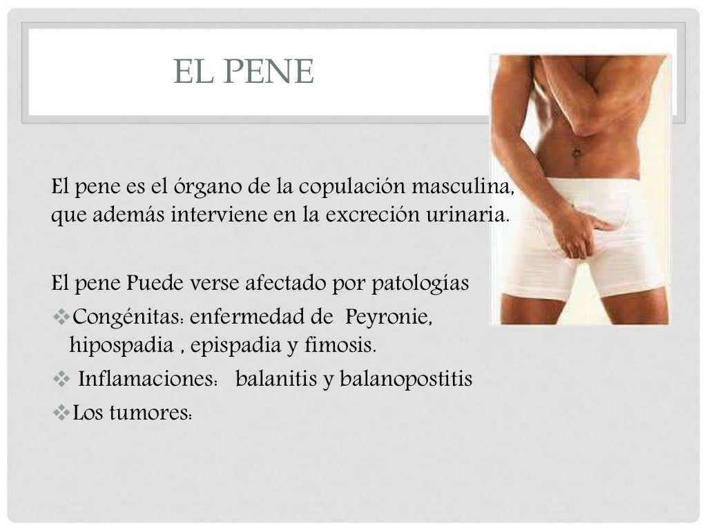 Inflamaciones del pene