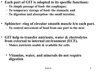 Comprehensive Overview of Gastrointestinal Physiology and Digestive ...