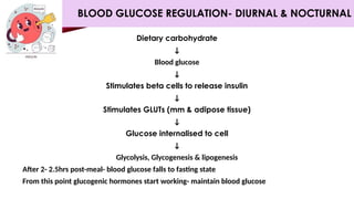 BLOOD GLUCOSE REGULATION- DIURNAL & NOCTURNAL
Dietary carbohydrate
↓
Blood glucose
↓
Stimulates beta cells to release insulin
↓
Stimulates GLUTs (mm & adipose tissue)
↓
Glucose internalised to cell
↓
Glycolysis, Glycogenesis & lipogenesis
After 2- 2.5hrs post-meal- blood glucose falls to fasting state
From this point glucogenic hormones start working- maintain blood glucose
 