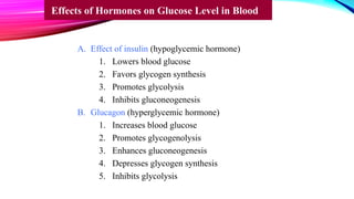 A. Effect of insulin (hypoglycemic hormone)
1. Lowers blood glucose
2. Favors glycogen synthesis
3. Promotes glycolysis
4. Inhibits gluconeogenesis
B. Glucagon (hyperglycemic hormone)
1. Increases blood glucose
2. Promotes glycogenolysis
3. Enhances gluconeogenesis
4. Depresses glycogen synthesis
5. Inhibits glycolysis
Effects of Hormones on Glucose Level in Blood
 