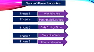 Phase 1
Phase 3
Phase 2
Phase 4
Well FED State
Post Absorptive State
Early Fasting State
Starvation State
Phase 5 Extreme starvation
 
