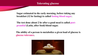 The test done about 2 hr after a good meal is called post-
prandial (Latin, after food) blood sugar.
The ability of a person to metabolize a given load of glucose is
glucose tolerance.
Tolerating glucose
Sugar estimated in the early morning, before taking any
breakfast (12 hr fasting) is called fasting blood sugar.
 
