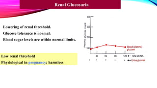 Lowering of renal threshold.
Glucose tolerance is normal.
Blood sugar levels are within normal limits.
Low renal threshold
Physiological in pregnancy; harmless
Renal Glucosuria
 