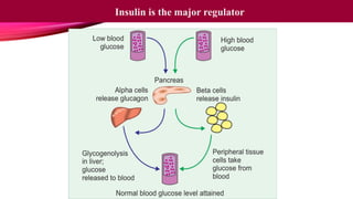 Insulin is the major regulator
 