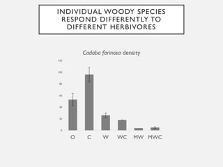 HERBIVORES ARE POWERFUL
SUPPRESSORS OF WOODY
DIVERSITY
Out of 20 woody species found in 2016
survey:
• 12/20 (60%) of wood...