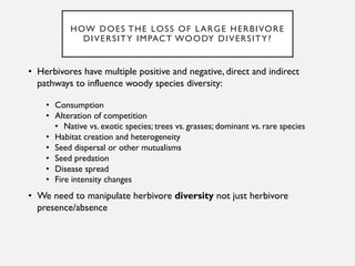 HOW DOES THE LOSS OF LARGE HERBIVORE
DIVERSITY IMPACT WOODY DIVERSITY?
• Herbivores have multiple positive and negative, d...