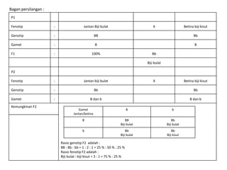 Bagan persilangan :
P1
Fenotip : Jantan Biji bulat X Betina biji kisut
Genotip : BB Bb
Gamet : B B
F1 : 100% Bb
Biji bulat
P2
Fenotip : Jantan biji bulat X Betina biji kisut
Genotip : Bb Bb
Gamet : B dan b B dan b
Kemungkinan F2
Rasio genotip F2 adalah :
BB : Bb : bb = 1 : 2 : 1 = 25 % : 50 % : 25 %
Rasio fenotip F2 adalah :
Biji bulat : biji kisut = 3 : 1 = 75 % : 25 %
Gamet
Jantan/betina
B b
B BB
Biji bulat
Bb
Biji bulat
b Bb
Biji bulat
Bb
Biji kisut
 