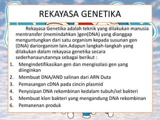 REKAYASA GENETIKA
Rekayasa Genetika adalah teknik yang dilakukan manusia
mentransfer (memindahkan )gen(DNA) yang dianggap
menguntungkan dari satu organism kepada susunan gen
(DNA) dariorganism lain.Adapun langkah-langkah yang
dilakukan dalam rekayasa genetika secara
sederhanaurutannya sebagai berikut :
1. Mengindetifikasikan gen dan mengisolasi gen yang
diinginkan
2. Membuat DNA/AND salinan dari ARN Duta
3. Pemasangan cDNA pada cincin plasmid
4. Penyisipan DNA rekombinan kedalam tubuh/sel bakteri
5. Membuat klon bakteri yang mengandung DNA rekombinan
6. Pemanenan produk
 