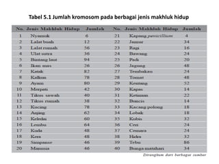 Tabel 5.1 Jumlah kromosom pada berbagai jenis makhluk hidup
 