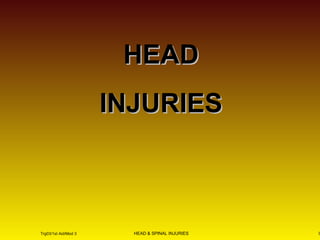 HHEEAADD 
IINNJJUURRIIEESS 
HEAD Trg03/1st Aid/Mod 3 & SPINAL INJURIES 1 
 