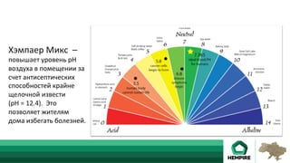 Хэмпаер	Микс		–		
повышает	уровень	pH	
воздуха	в	помещении	за	
счет	антисептических	
способностей	крайне	
щелочной	извести							
(pH	=	12.4).		Это	
позволяет	жителям	
дома	избегать	болезней.	
 