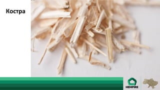 Костра	
	
Костра	
 