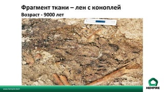 www.hempire.tech
Фрагмент	ткани	–	лен	с	коноплей			
Возраст	-	9000	лет	
 