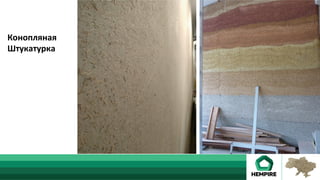 Конопляная	
Штукатурка	
	
 